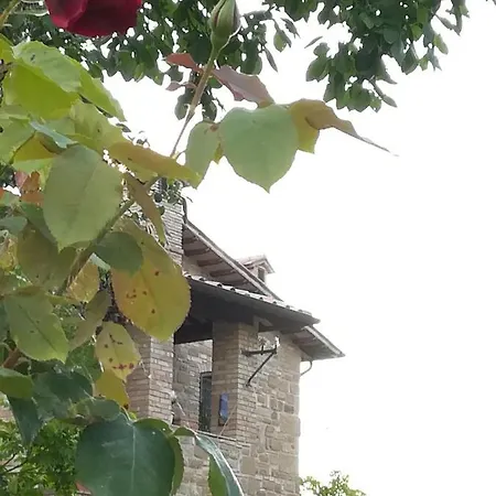 Casale Giuncheto *