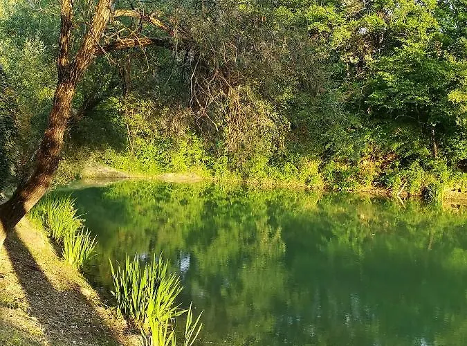 Alojamento de Turismo Rural Il Giuncheto, Pool, Amazing View, Umbrian Countryside *