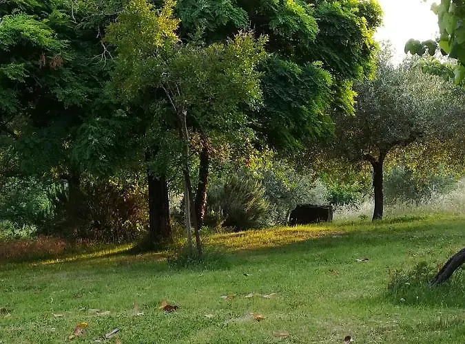 Il Giuncheto, Pool, Amazing View, Umbrian Countryside * Pilonico Paterno